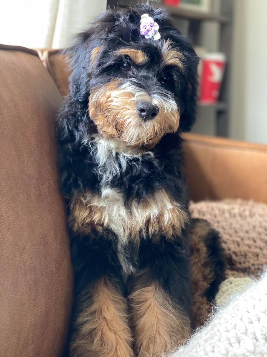 223322180_1206901266390783_4913433304845498180_n